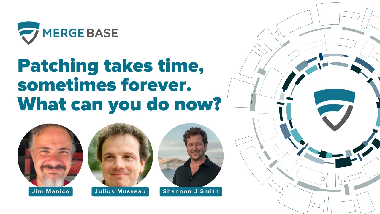 Patching takes time, sometimes forever.<br>What can you do now?