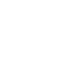 Webinar Head Icon